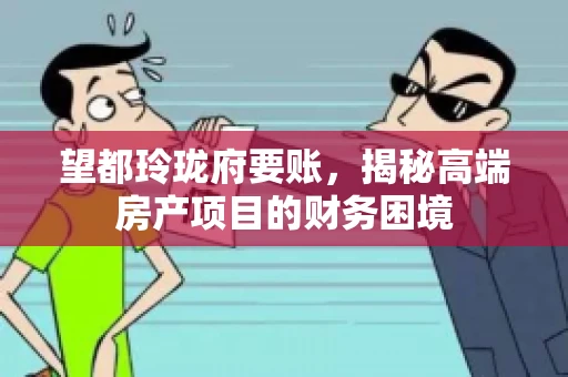 望都玲珑府要账,揭秘高端房产项目的财务困境 望都玲珑府要账,揭秘高端房产项目的财务困境