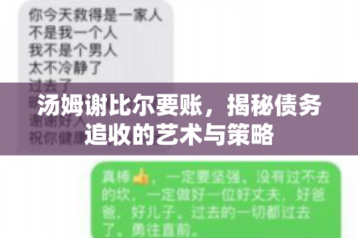 汤姆谢比尔要账，揭秘债务追收的艺术与策略