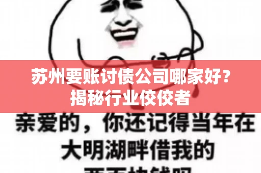 苏州要账讨债公司哪家好？揭秘行业佼佼者