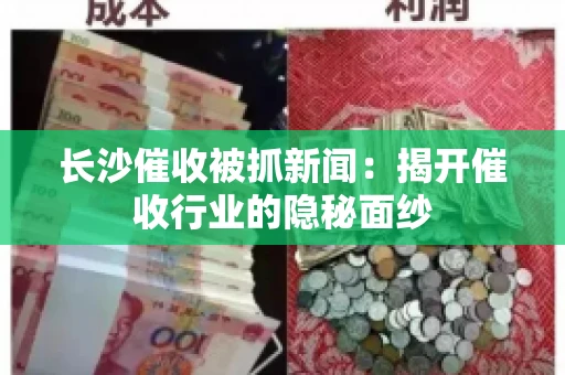 长沙催收被抓新闻：揭开催收行业的隐秘面纱