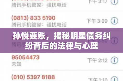 孙悦要账，揭秘明星债务纠纷背后的法律与心理