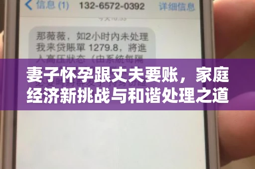 妻子怀孕跟丈夫要账，家庭经济新挑战与和谐处理之道