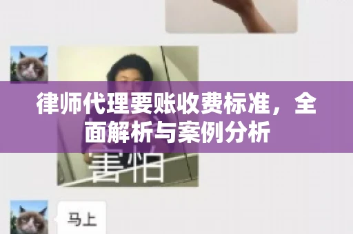 律师代理要账收费标准，全面解析与案例分析