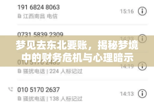 梦见去东北要账，揭秘梦境中的财务危机与心理暗示
