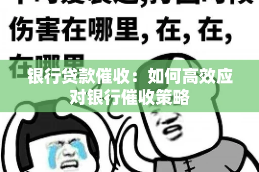 银行贷款催收：如何高效应对银行催收策略
