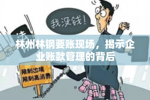 林州林钢要账现场，揭示企业账款管理的背后