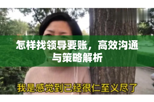 怎样找领导要账，高效沟通与策略解析