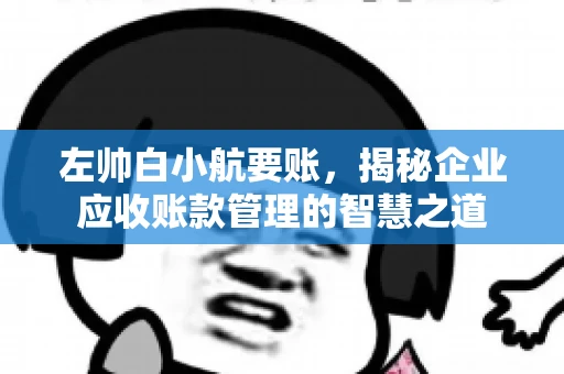 左帅白小航要账，揭秘企业应收账款管理的智慧之道