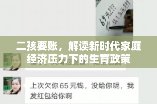 二孩要账，解读新时代家庭经济压力下的生育政策