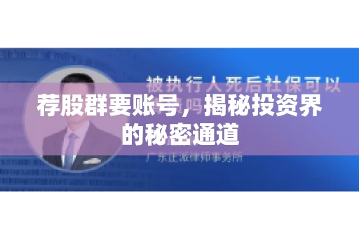 荐股群要账号，揭秘投资界的秘密通道