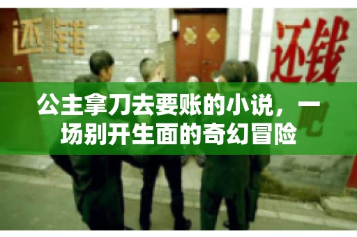公主拿刀去要账的小说，一场别开生面的奇幻冒险