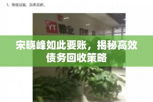 宋晓峰如此要账，揭秘高效债务回收策略