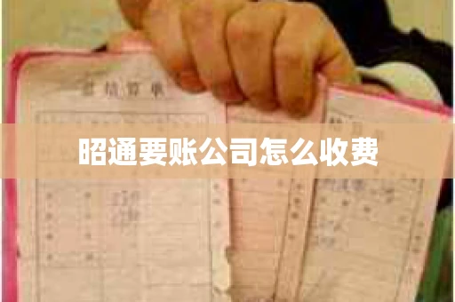 昭通要账公司怎么收费
