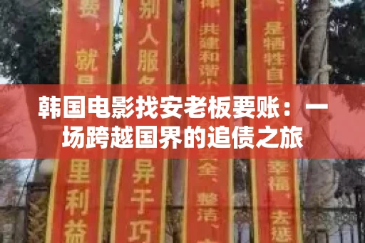 韩国电影找安老板要账：一场跨越国界的追债之旅