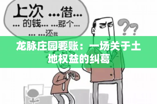 龙脉庄园要账：一场关于土地权益的纠葛