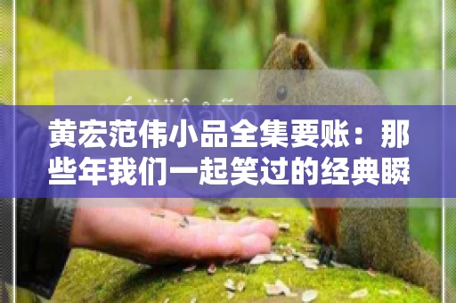 黄宏范伟小品全集要账:那些年我们一起笑过的经典瞬间 黄宏范伟小品全集要账:那些年我们一起笑过的经典瞬间