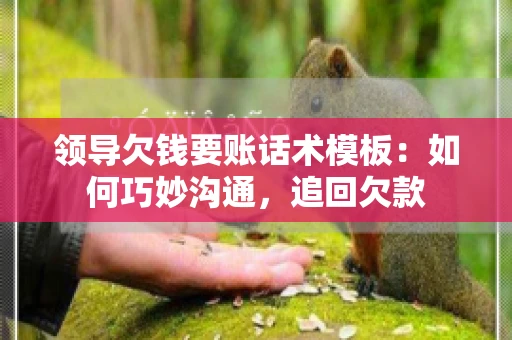领导欠钱要账话术模板：如何巧妙沟通，追回欠款