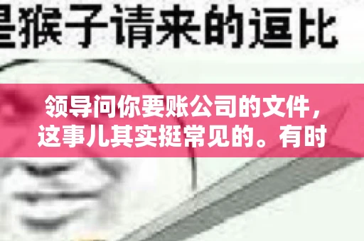 领导问你要账公司的文件，这事儿其实挺常见的。有时候，你可能一头雾水，不知道从何下手。今天，我就来和大家聊聊这个话题，希望能帮到大家。