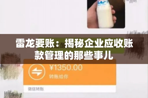 雷龙要账：揭秘企业应收账款管理的那些事儿