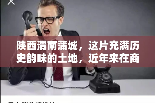 陕西渭南蒲城，这片充满历史韵味的土地，近年来在商业活动中也展现出了其独特的活力。其中，关于“陕西渭南蒲城要账”的话题，成为了不少企业关注的焦点。今天，我们就来聊聊这个话题，看看在蒲城，要账的那些事儿。