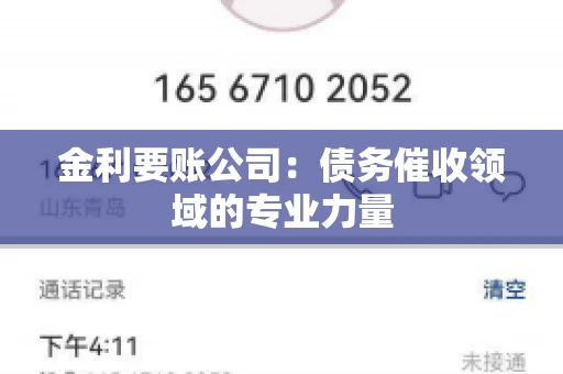 金利要账公司：债务催收领域的专业力量