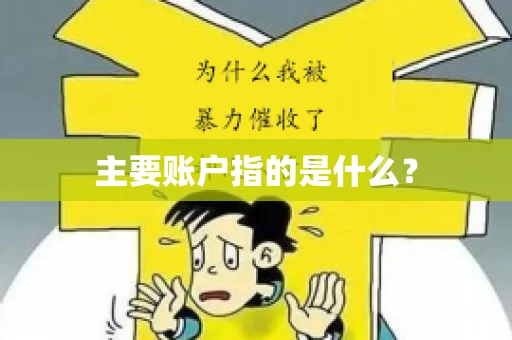 主要账户指的是什么？