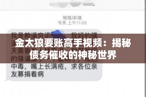 金太狼要账高手视频：揭秘债务催收的神秘世界