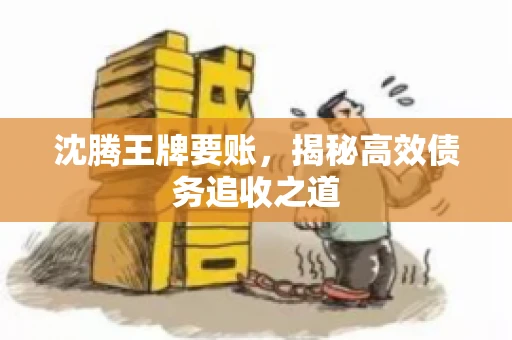 沈腾王牌要账，揭秘高效债务追收之道