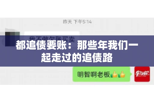 都追债要账：那些年我们一起走过的追债路