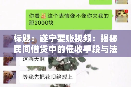 标题：遂宁要账视频：揭秘民间借贷中的催收手段与法律边界