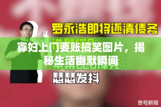 寡妇上门要账搞笑图片，揭秘生活幽默瞬间