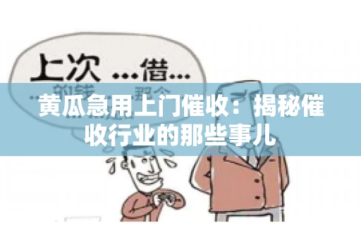 黄瓜急用上门催收：揭秘催收行业的那些事儿