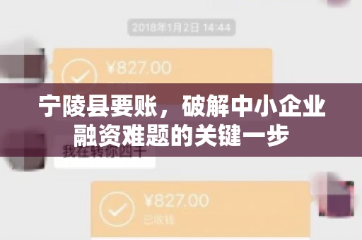 宁陵县要账，破解中小企业融资难题的关键一步