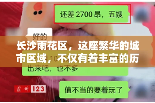 长沙雨花区，这座繁华的城市区域，不仅有着丰富的历史文化，还有着繁忙的金融活动。其中，催收公司作为金融行业的一个重要组成部分，在这里也有着不少的身影。那么，长沙雨花区都有哪些催收公司呢？今天，我们就来聊聊这个话题。