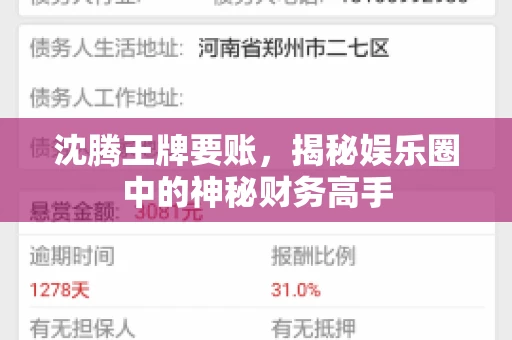 沈腾王牌要账,揭秘娱乐圈中的神秘财务高手 沈腾王牌要账,揭秘娱乐圈中的神秘财务高手