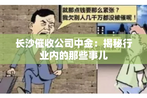 长沙催收公司中金：揭秘行业内的那些事儿